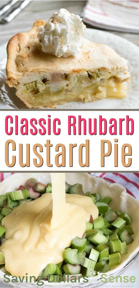 Rhubarb Custard Pie Recipe | This old fashioned recipe uses rhubarb to make a tangy and sweet dessert filling inside a flaky pastry crust. You'll want to make sure to top it off with a scopp of homemade whipped cream for a sweet class rhubarb pie that everyone will love! Apple Rhubarb Recipes, Rhubarb Custard Pie Recipe, Rhubarb Custard Bars, Custard Bars, Rhubarb Custard Pie, Rhubarb Desserts Recipes, Rhubarb Custard Pies, Rhubarb Recipes Pie, Custard Pie Recipe