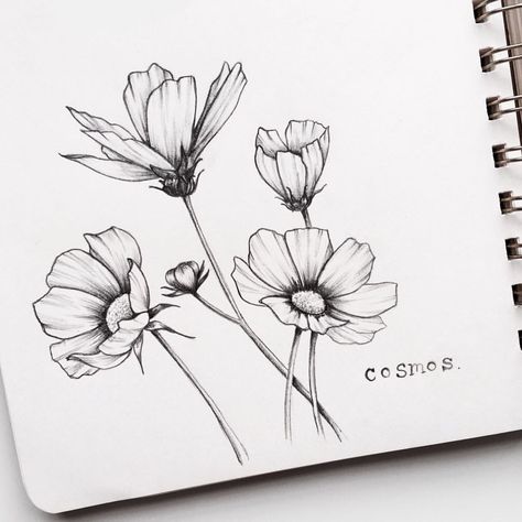 Day 5/31 of #floralsyourway - cosmos! Posting bright and early this morning because it's a long weekend for us up here in Canada and we've… Micron Pen Art, Drawings Inspo, Line Art Flowers, Botanical Line Drawing, Flower Drawings, Flower Sketches, Floral Drawing, 수채화 그림, Drawing Inspo