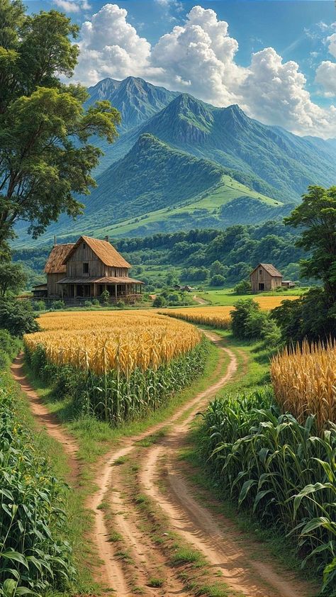 Nokia Wallpapers, Rural Painting, Indian Landscape, Village Mountain, Nature Village, Village Scenery, Rural Photography, Golden Fields, Rural Village