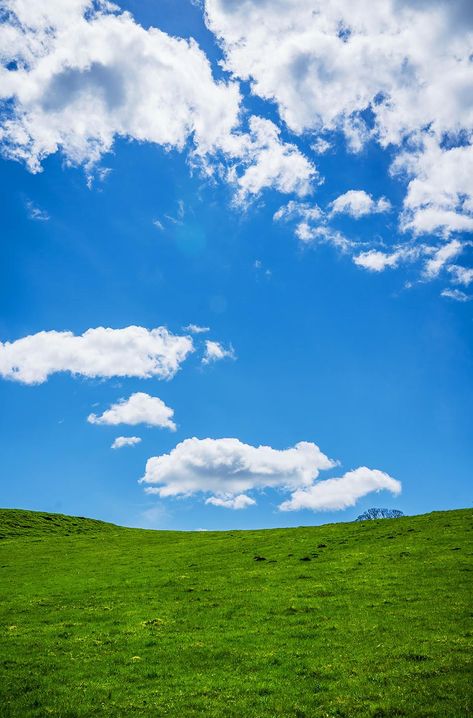 Green Grass Field, Free Sky, Blue Sky Photography, Grass Background, Sky Images, Blue Sky Clouds, Cloud Photos, Blue Sky Background, Amazing Nature Photography