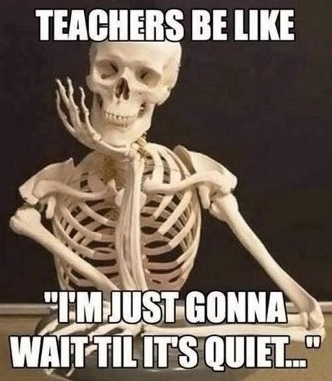 Teacher Memes Funny, Teaching Memes, Classroom Memes, Teaching Humor, Teacher Memes, Teacher Jokes, School Memes, Memes Humor, Teacher Quotes