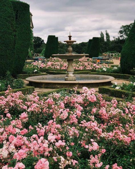 Royal Flowers Aesthetic, Luxury Flower Garden, Royal Garden Aesthetic, French Style Garden, Rococo Garden, 18th Century Aesthetic, Regency Aesthetic, Greek Garden, Palace Gardens