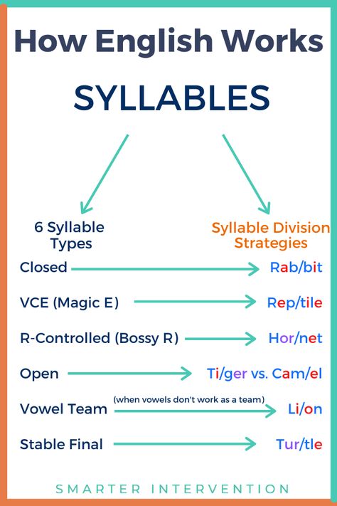 Teaching the 6 syllable types and syllable division patterns is a great way to support students' reading development. By bucketing phonics patterns into syllable types, it makes remembering all of these patterns easier! English Syllables, Teaching Spelling Rules, Syllables Worksheet, Phonetic Chart, 6 Syllable Types, How To Teach Phonics, Syllable Division Rules, Teaching Syllables, Multisensory Teaching