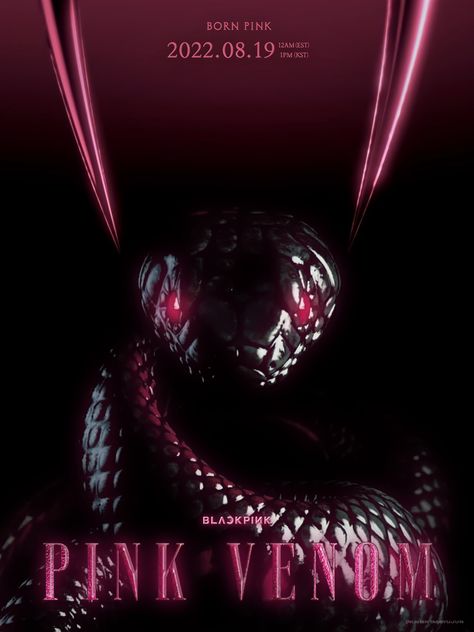 💌don't repost w/o credits Pink Venom Album Cover, Born Pink Album Cover, Blackpink Fanmade Album Cover, Pink Venom Poster, Venom Poster, Book Cover Design Inspiration, Amazing Facts For Students, Pop Posters, Pink Venom