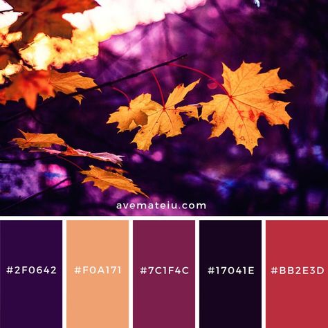 Most Beautiful Color Palette, Color Palette For Creativity, 2023 Color Pallet Trends, Contrasting Colors Palette, Bright Fall Color Palette, Horror Color Palette, Color Palette 4 Colors, Color Inspiration Colour Palettes, 7 Color Palette