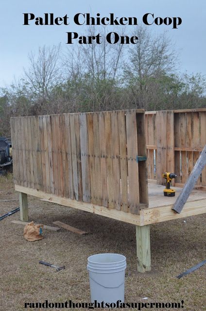 Chicken Pen Out Of Pallets, Palate Chicken Coop, Pallet Coop Plans, Palette Chicken Coop Diy, Skid Chicken Coop, Chicken Coop With Pallets Diy, Chicken Coop Ideas Pallet, Pellet Chicken Coop, Diy Pallet Coop