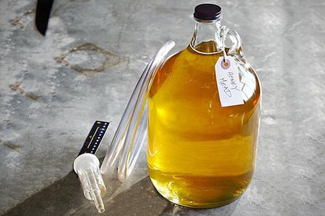 mead recipe Mead Making, Honey Mead, Mead Wine, How To Make Mead, Mead Recipe, Fermented Honey, Honey Wine, Homemade Wine, Fermented Drink