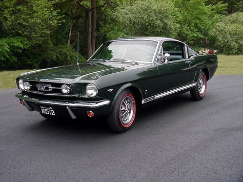 1966 Fastback Dark Green Mustang, 70s Mustang, 1976 Ford Mustang, Car Travel Hacks, 1966 Mustang Gt, Green Mustang, Mustang 65, 1st Car, Mustang 1966