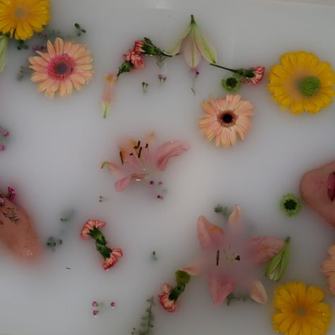 #milk #bath #flowers #aesthetic Kali Nails, Milk Bath Aesthetic, Milk Flower Bath, Flower Bath Aesthetic, Milk Bath Flowers, Bath Flowers, Bath Photos, Bathing Rituals, Bath Aesthetic