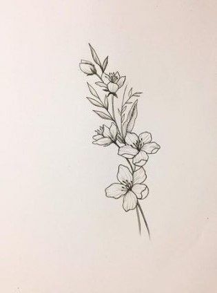 tattoo – strongerwellnessjourney Floral Tattoo Dainty, Sampaguita Drawing, Flower Tattoos Ribs, Filipino Flower Tattoo, Sampaguita Tattoo, Sampaguita Flower Tattoo, Gladiolus Flower Tattoos, Jasmine Tattoo, Gladiolus Tattoo