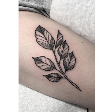 Poppy🐰NOW BOOKING March- June (@poppysmallhandstattoo) • Instagram photos and videos Rose Shoulder Tattoo, Leaf Tattoo, Flower Tattoo Back, Plant Tattoo, Simple Leaf, Full Body Tattoo, Botanical Tattoo, Now Booking, Baby Tattoos