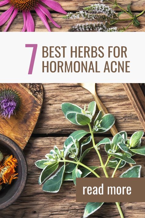 7 best herbs for hormonal acne Holistic Hormonal Acne, Natural Remedies For Hormonal Acne, Herbal Remedies For Acne, Natural Hormonal Acne Remedies, Herbs For Acne Clear Skin, Herbs For Hormonal Acne, Hormonal Acne Tips, Herbs For Clear Skin, Herbs For Acne