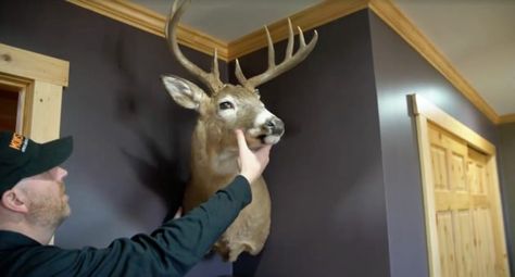 Where To Hang Deer Mount, How To Hang Deer Mounts On Wall, Ways To Display Deer Mounts, Deer Shoulder Mount Ideas, Hanging Deer Mounts On Wall, Deer Mount Wall Arrangement, Deer Head Decor Living Room Farmhouse, Deer Mounts In Living Room Farmhouse, Deer Mounts In Living Room