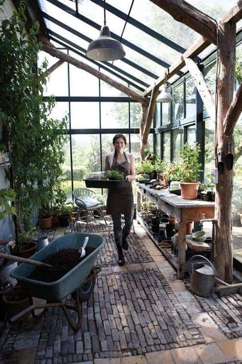 DIY Lean to Greenhouse: Kits on How to Build a Solarium Yourself! Lean To Greenhouse Kits, Serre Diy, Shed Inspiration, Greenhouse Benches, Bohemian Backyard, Best Greenhouse, Lean To Greenhouse, Pergola Diy, Home Greenhouse