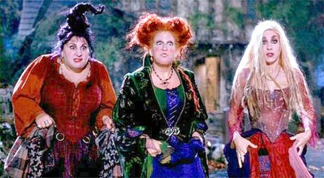 The Sanderson Sisters from Hocus Pocus doing a perfect imitation of what our animals look like with all of the Trick-Or-Treaters ringing the doorbell all night long Hermanas Sanderson, Hocus Pocus Costume, Hocus Pocus 1993, Hocus Pocus Movie, Kathy Najimy, Mary Sanderson, Sarah Sanderson, Hocus Pocus Witches, Best Halloween Movies