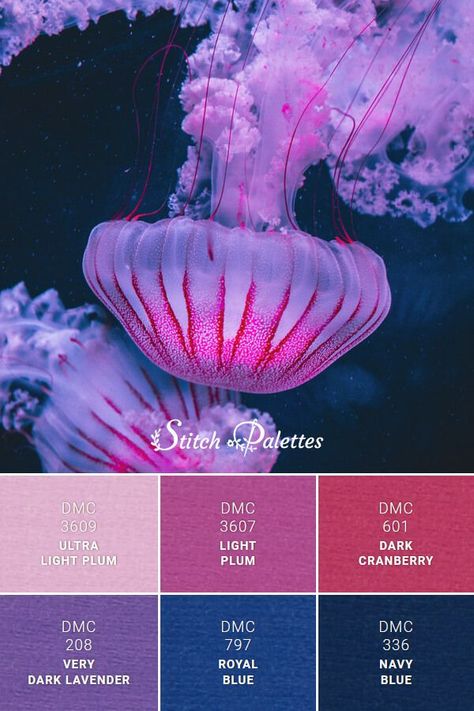 Royal Blue And Pink Color Palette, Dark Vibrant Color Palette, Royal Blue And Pink Bedroom, Navy Pink Color Palette, Red Blue Purple Color Palette, Royal Blue Colour Palette, Jellyfish Palette, Dark Blue Color Combinations, Blue Pallet Color