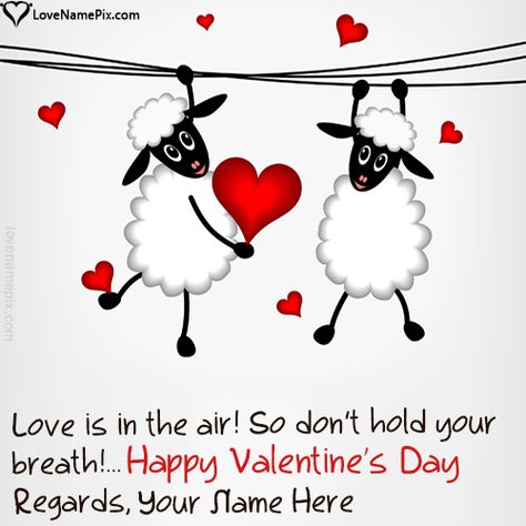 Write Name on Funny Valentines Day Quotes Messages Picture Image St Valentin, Valentines Day Sayings, Valentines Day Love Quotes, Valentine Name, Happy Valentines Day Wishes, Valentines Day Quotes, Decoration Vitrine, Valentines Day Messages, Funniest Valentines Cards