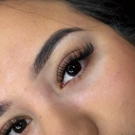 lash extensions Thick Short Eyelash Extensions, Eyelash Extensions Inspo Pics, Simple Eyelash Extensions Short, Hybrid Angel Lashes, 17mm Lash Extensions, Lash Extensions Volume Wispy, Wispy Russian Lashes, 15mm Eyelash Extensions, Short Full Lash Extensions