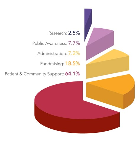 Pie Chart Expanded Pie Chart Project Ideas, Pie Chart Infographic Design, Pie Chart Presentation, Pie Graph Design, Creative Pie Chart, Graph Chart Design, Pie Chart Design Creative, Bar Chart Infographic, Pie Chart Design