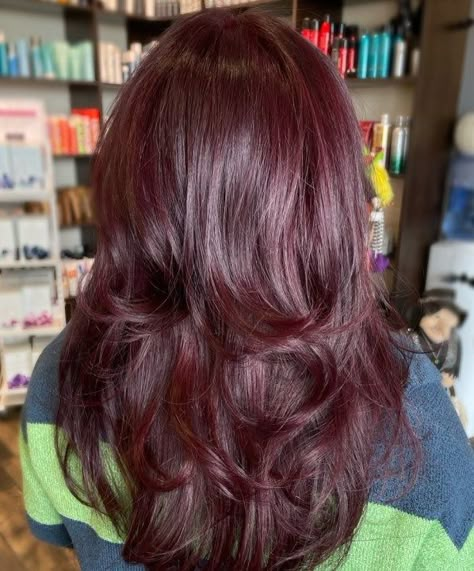 Radiant Dimensional Burgundy Hair Purplish Red Hair Color, Dark Purple And Red Hair, Dark Red Purple Hair, Aubergine Hair, Aubergine Hair Color, Dark Maroon Hair, Burgundy Hair Colors, Burgundy Hair With Highlights, Deep Burgundy Hair