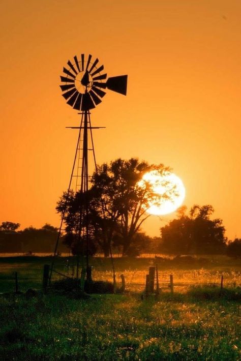 Farm Windmill, Windmill Water, Advantages Of Solar Energy, Old Windmills, Country Scenes, Old Barns, Old Farm, Green Energy, Mellow Yellow