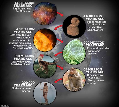 Arrokoth space rock may have brought life to Earth, scientists reveal | Daily Mail Online 2/14/20 Life on Earth has a complex history which spans back around 4.5billion years. Molecules on the asteroid Arrakoth may have played a role in the formation of life History Of Earth, Kuiper Belt, Organic Molecules, Space Probe, Earth Pictures, History Images, Life On Earth, Galaxy Painting, Space Rock