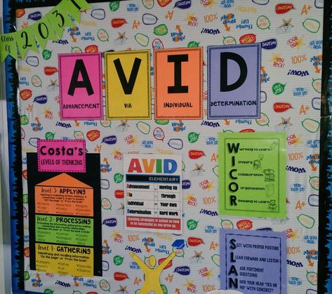 Elementary Bulletin Board Ideas, Avid Program, Avid Strategies, Teaching Middle School Science, Colorful Bulletin Boards, Middle School Essentials, Elementary Bulletin Boards, Middle School Classroom Decor, Teachers Room