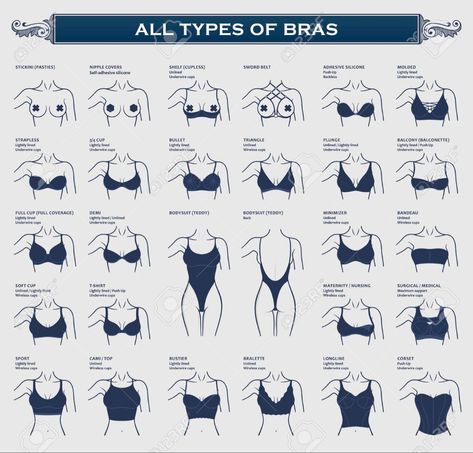 Types Of Lingerie Style, Types Of Bras, Bedtime Stretches, Fashion Quiz, Celana Jogger Wanita, Fashion Terminology, Vector Clothes, Relieve Lower Back Pain, Moda Academia