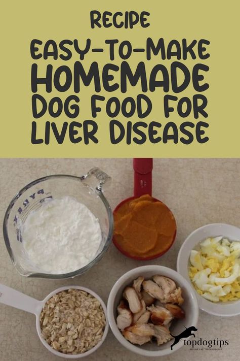 Love in Every Bite: DIY Dog Food for Liver Disease Relief Healthy Liver Diet For Dogs, Homemade Dog Food For Kidney Problems, Homemade Dog Food For Liver Issues, Dog Food For Kidney Problems, Hepatic Dog Food Recipe, Food For Liver, Food Good For Liver, Low Fat Dog Food, Foods For Liver Health