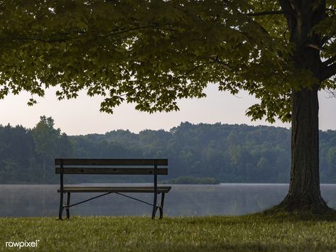 Empty bench by the lake | free image by rawpixel.com / Aaron Burden Lakeside Park, A Quiet Life, Lake Painting, Sofa Bench, Quiet Life, Urban Oasis, Film Inspiration, Public Park, Beautiful Park