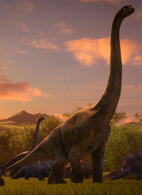 Bumpy In Evolution Camp Cretaceous Mods | Jurassic World Evolution Mod Spotlight, Jurassic World Camp Cretaceous] Brachiosaurus Gen 24 she herbivore is a genus of large sauropod dinosaur it weighed up to an enlarged 56 metric tons brachio have home and kajiu and bracelet radio roar sound need she from vorton be good guy pet to the superheroes dinosaurs series of dimensions Jurassic World Camp Cretaceous, Glen Keane, Raini Rodriguez, Jurassic Park 1993, Dinosaur Wallpaper, Dinosaur Images, Camp Cretaceous, Dinosaur Pictures, Jurassic World Dinosaurs