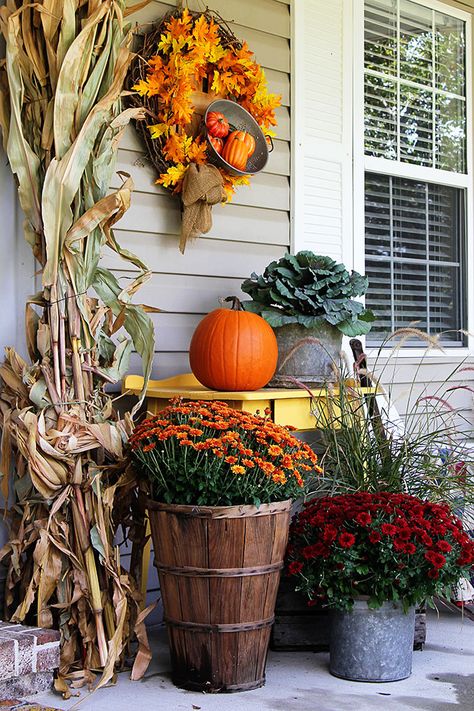 Fall Porch Decor Farmhouse Style Diy Porch Decor, Fruits Decoration, Fall Porch Decor, Corn Stalks, Halloween Front Porch Decor, Diy Front Porch, Rustic Aesthetic, Diy Porch, Halloween Front Porch