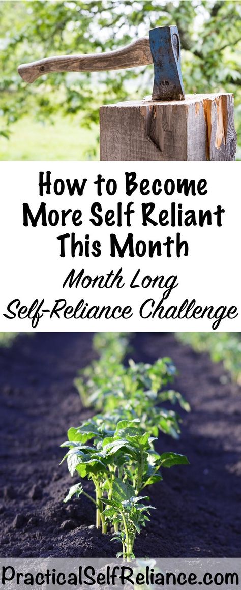 How to Become More Self Reliant This Month ~ Month Long Self Reliance Challenge Self Reliant Living, Apartment Homesteading, Backyard Homesteading, Homestead Skills, Homesteading Life, Self Sufficient Homestead, Trees For Front Yard, Human Element, Homesteading Ideas