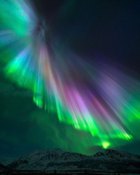 Northern Lights Viewing in Alaska | Travel Alaska Alaskan Northern Lights, Northern Lights Travel, Aroura Borealis, Northern Lights Viewing, Alaska Northern Lights, Travel Alaska, Alaska Photos, Dog Sled, Alaska Adventures