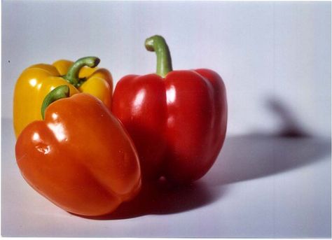 bell peppers from Ann Ruth Photography Bell Pepper Still Life, Vegetable Reference Photo, Food Reference Photos For Artists, Still Life Fruit Reference, Reference Still Life, Stil Life Photography, Still Life Reference Photos For Artists, Fruits Reference, References Objects