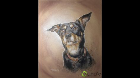 In this time lapse video I draw and paint an Australian Kelpie named Jeda. I used various acrylics and Prismacolor pencils and I painted on a 40x50cm canvas. Photo reference: http://paintmyphoto.ning.com/xn/detail/5204568:Photo:2623963?xg_source=activity Facebook: http://www.facebook.com/ownlifeworks Google+: http://www.google.com/+ownlifeworks Instagram: http://instagram.com/ownlifeworks Twitter: http://twitter.com/ownlifeworks Pinterest: http://pinterest.com/ownlifeworks Official website: http Kelpie Tattoo, Sea Turtle Watercolor Painting, Kelpie Dog, Australian Kelpie Dog, Sea Turtle Watercolor, Painting Fur, Turtle Watercolor, Australian Kelpie, Draw And Paint