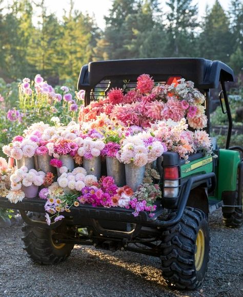 Connecting with Nature and Giving Back with Flower Farmer Misha Gillingham - The Flowering Farmhouse Farmers Market Flowers, Podcast Guest, Flower Shop Decor, Cut Flower Farm, Connecting With Nature, Farm Layout, Flower Truck, Flower Business, Garden Designer