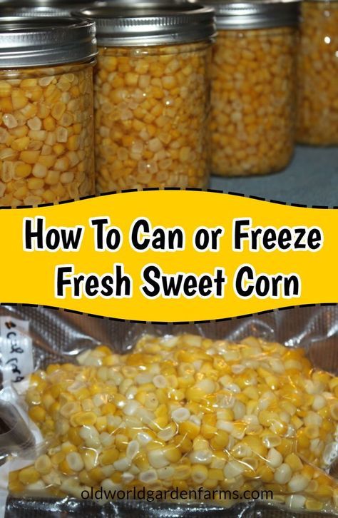 How To Preserve Fresh Corn, Canning Corn Water Bath, Meals To Can, Canning Fresh Corn, Canning Corn Recipes, Preserving Corn, How To Can Corn, Canning Corn, Freezing Corn