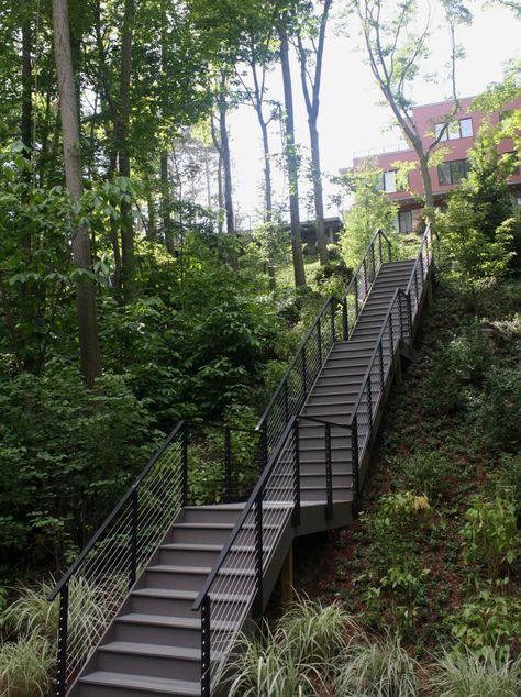 Project # 260 - Customized Cable Railing - StairSupplies™ Lake House Stairs, Plane House, Stairs Decoration, Garden Ideas Uk, Lake Landscaping, Outside Stairs, Island Cottage, Landscape Stairs, Lakefront Living