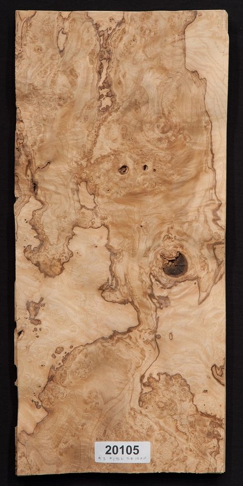 Olive Wood Texture, Burl Wood Veneer, Venner Texture, Wood Veneer Texture, Raw Wood Texture, Wood Samples, Veneer Texture, Wood Veneer Sheets, Wood Burl