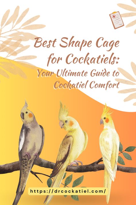 Step up your bird-care game with our ultimate guide on the "3 Best Shape Cage for Cockatiels" designed for comfort and safety 🐦💖. Learn about these tailored bird habitats and make your feathered friends chirp with joy! Read more at https://drcockatiel.com/  #DrCockatiel #Cockatiels #CockatielCageGuide #AvianComfort #BirdLovers 🦜🏠 Diy Cockatiel Cage, Cockatiel Cage Ideas, Cockatiel Cage Setup Ideas, Cockatiel Cage Setup, Cockatiel Cage, Diy Bird Cage, Flight Cage, Cockatiel Bird, Parrot Food