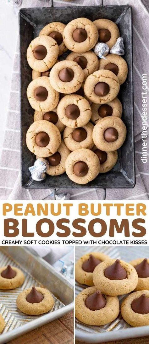 Cookies With Chocolate Kisses, Cookies With Reeses Cups, Peanut Butter Kiss Cookies Recipe, Peanut Butter Cookies With Chocolate, Peanut Blossom Cookies, Peanut Butter Blossoms Recipe, Chocolate Kiss Cookies, Peanut Butter Kiss, Peanut Butter Kiss Cookies