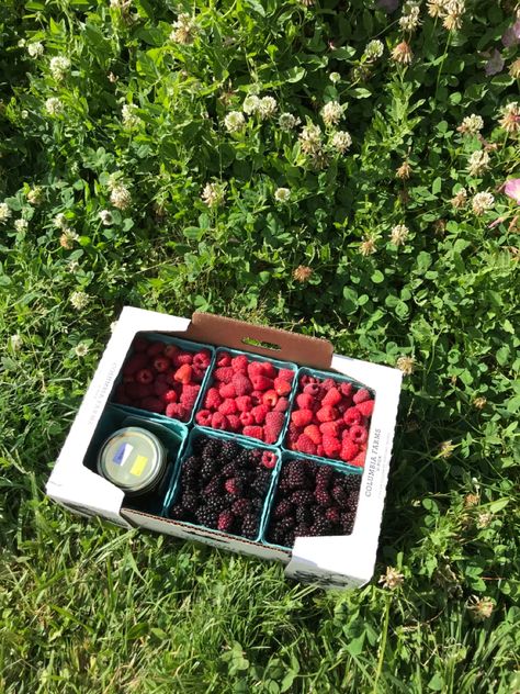 Sauvies Island, OR #cottagecore #cottagecoreaesthetic #aesthetic #summer #summervibes #summerdessert #pnw #oregon #berries #honey Summer In Portland Oregon, Pnw Summer Aesthetic, Pacific Northwest Summer, Summer Oregon, Pnw Summer, Oregon Aesthetic, Pnw Aesthetic, Seattle Summer, Oregon Summer