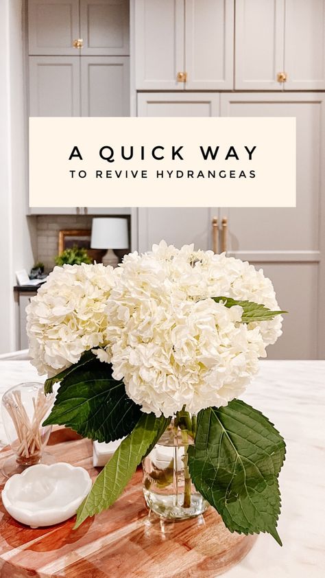 Sharing a really quick tip today that has been so helpful. Do you ever buy gorgeous hydrangeas from the market only to find them wilted the next day? It's so hit or miss and it's so sad when they look wilted within hours. This quick tip will help you revive your hydrangeas so they can Date Night Questions, A Thoughtful Place, Hit Or Miss, Fashion Organization, Notes Design, The Next Day, Garden Trees, Living Room Tv, Diy Organization