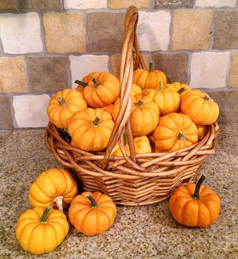 Must Run in the Family: 21 Mini Pumpkin Games Preserve Carved Pumpkin, Preserve Pumpkins, Preserving Pumpkins, Pumpkin Games, Valentine's Day Party Games, Easter Games For Kids, Easter Party Games, Fall Games, Halloween Clown