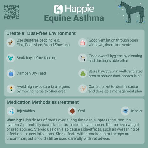 Equine Asthma 🌿🐎 Equine asthma is a serious condition that can greatly affect your horse's well-being. Utilize the Symptom Diary feature in the Happie Horse App to document and track all symptoms and their progression. 📝📱 The app provides a comprehensive overview and helps facilitate communication with your veterinarian. 🌟🐴💚 #equineasthma #pferdeasthma #pferdegesundheit #horsehealth #happiehorseapp #symptomtagebuch #symptomdiary Veterinary Notes, Equine Vet Tech, Equine Medicine, Vet Study, Veterinary Medicine Student, Veterinarian Medicine, Equine Science, Equine Vet, Veterinarians Medicine