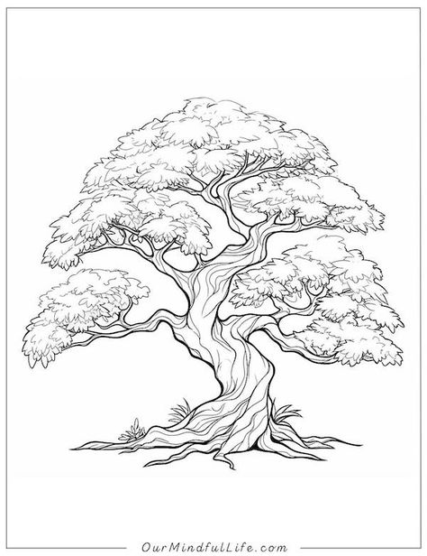 56 Awe-inspiring Tree Coloring Pages [Free Printable] - Our Mindful Life Tree Of Life Drawing Simple, Tree Of Life Outline, Aesthetic Tree Drawing, Sketch Book Art Ideas Aesthetic, How To Draw A Tree, Tree Coloring Pages Free Printable, Big Tree Drawing, Bonsai Sketch, Sketch Of Tree