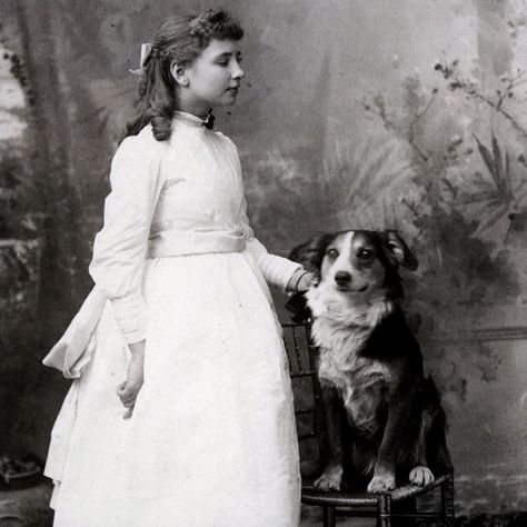 Small Black Dog, Hellen Keller, Boston Bull Terrier, Anne Sullivan, The Miracle Worker, Childhood Pictures, Dog Seat, Historical People, Asian History