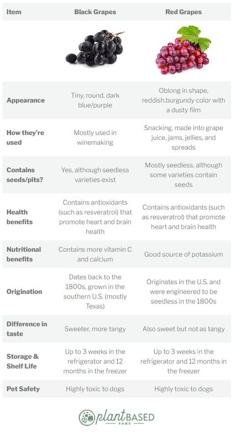 Black Grapes Benefits, Benefits Of Red Grapes, Benefits Of Green Grapes, Red Grapes Benefits, Green Grapes Benefits, Grapes Calories, Grape Juice Benefits, Benefits Of Grapes, Grape Types