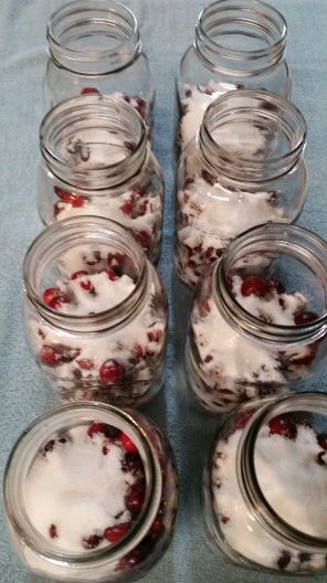 Canning Cranberry Juice, Canning Cranberry, Cranberry Preserves, Canned Cranberries, Pressure Canning Recipes, Canning 101, Cranberry Jam, Canning Fruit, Canning Pickles